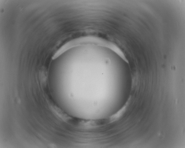 X0000083060186200702232030