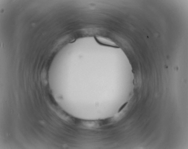 X0000083060187200702232030