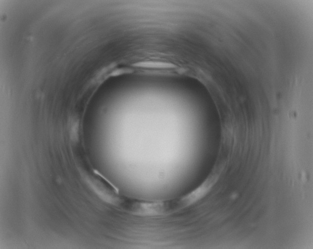 X0000083060188200702232031