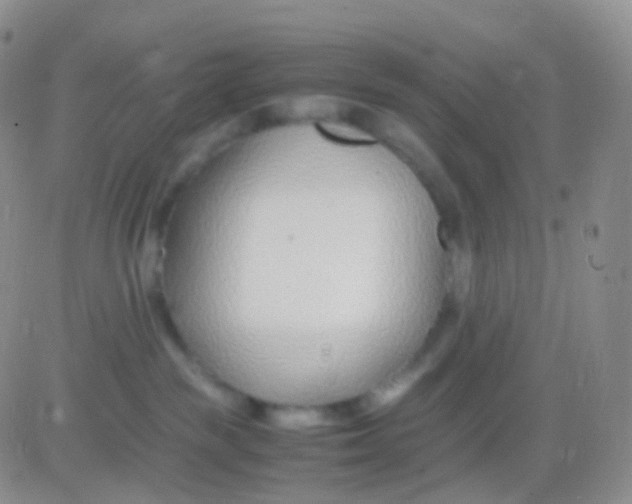 X0000083060189200702232031