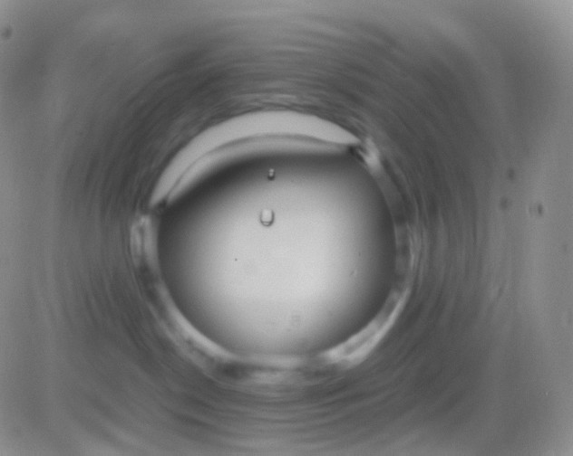 X0000083060190200702232031