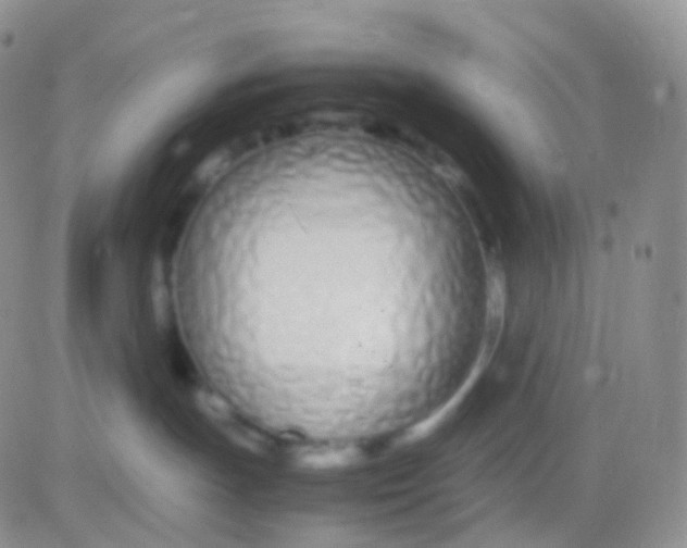 X0000083060191200702232031