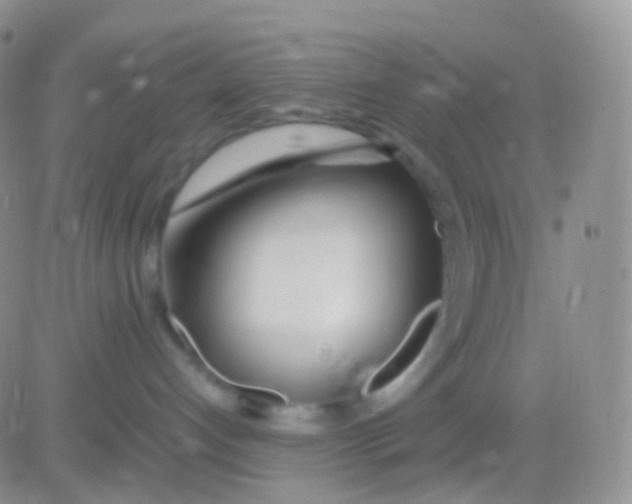 X0000083060192200702232031