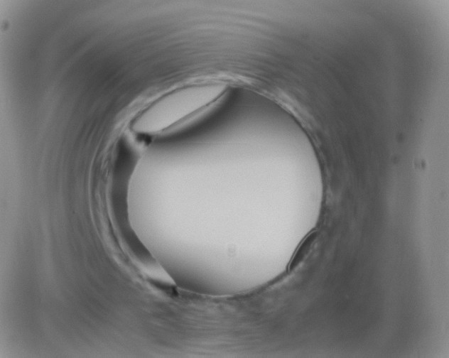 X0000083060193200702232030