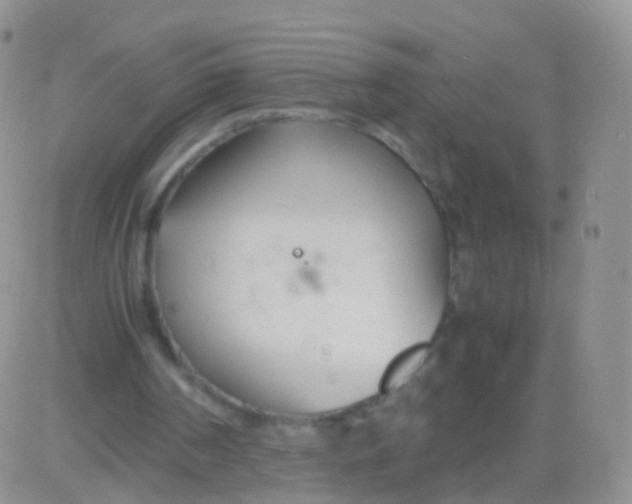 X0000083060194200702232030