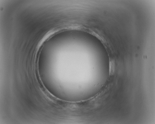 X0000083060195200702232030