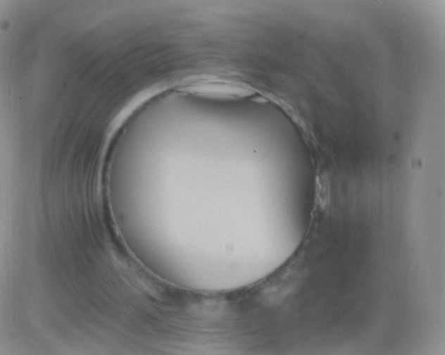 X0000083060196200702232030