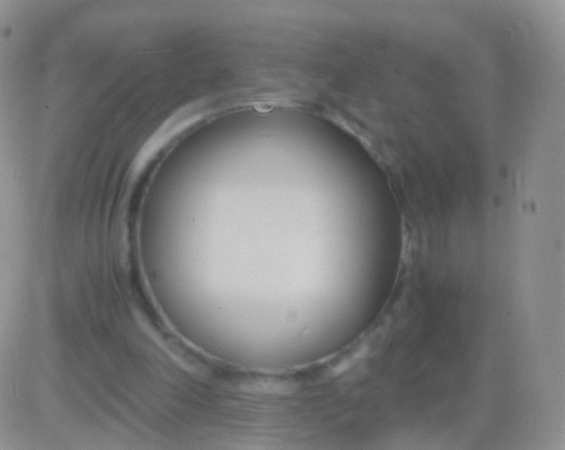 X0000083060198200702232030