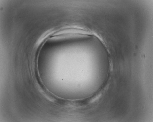 X0000083060199200702232030