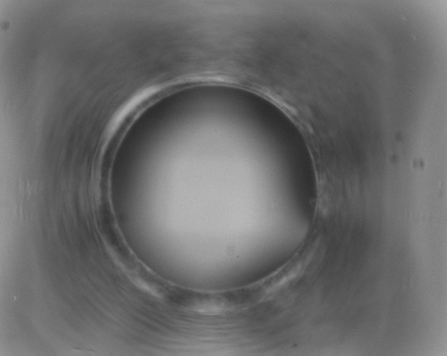 X0000083060200200702232030