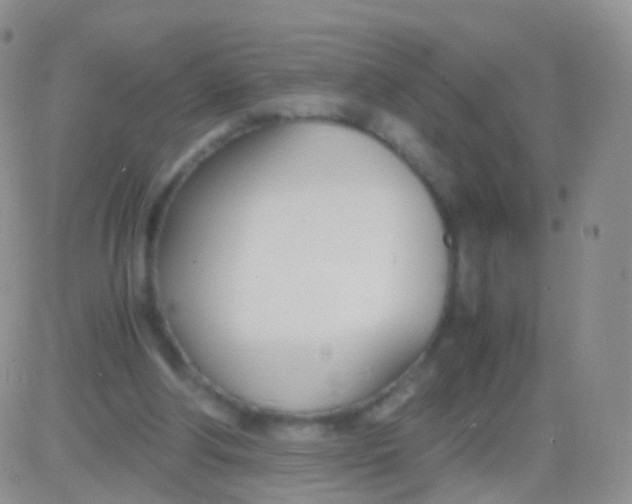 X0000083060202200702232030