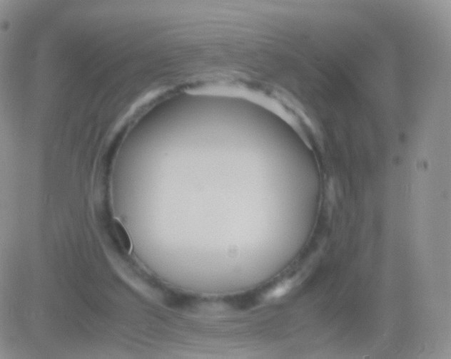 X0000083060203200702232030