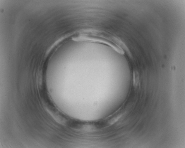 X0000083060204200702232030