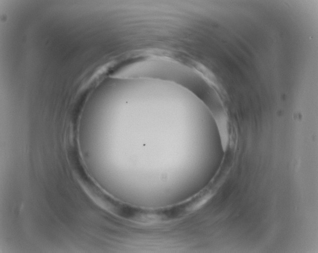 X0000083060205200702232030