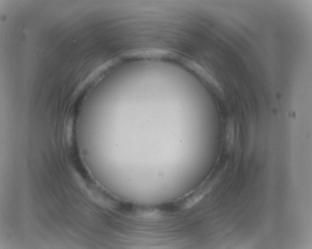 X0000083060206200702232030