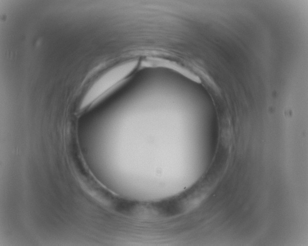 X0000083060207200702232030