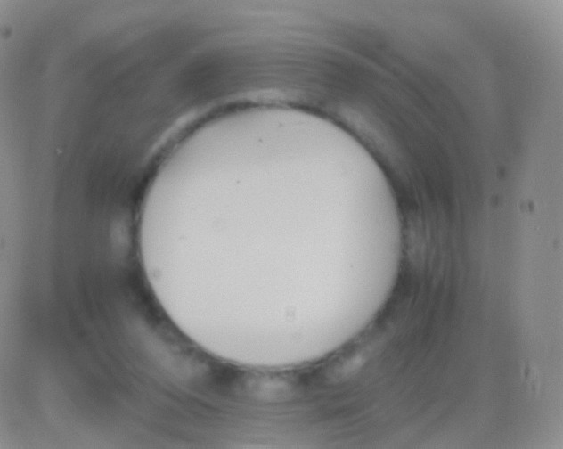 X0000083060208200702232030