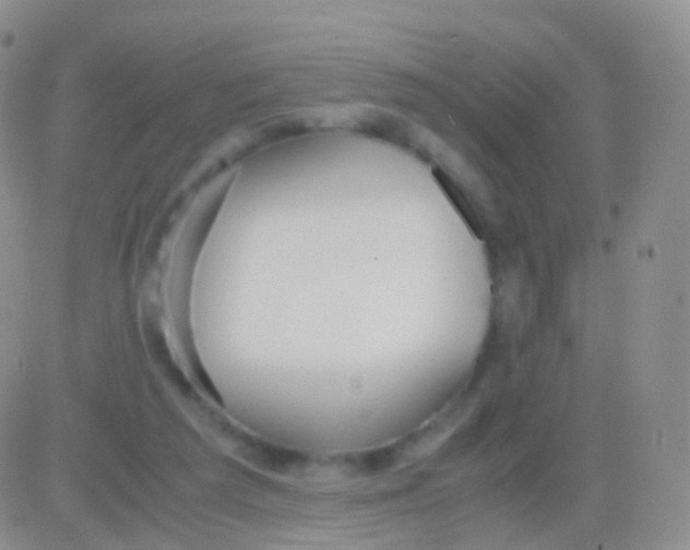 X0000083060209200702232030