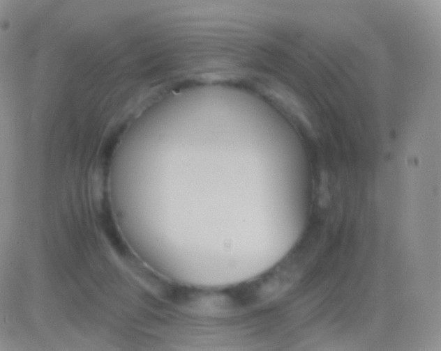 X0000083060210200702232029