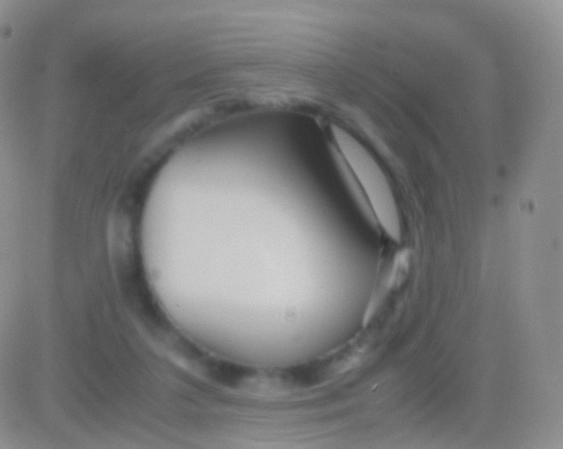 X0000083060211200702232029