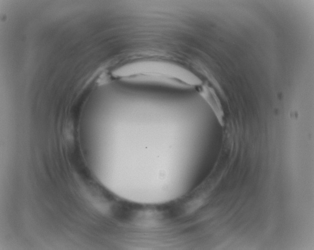 X0000083060212200702232029