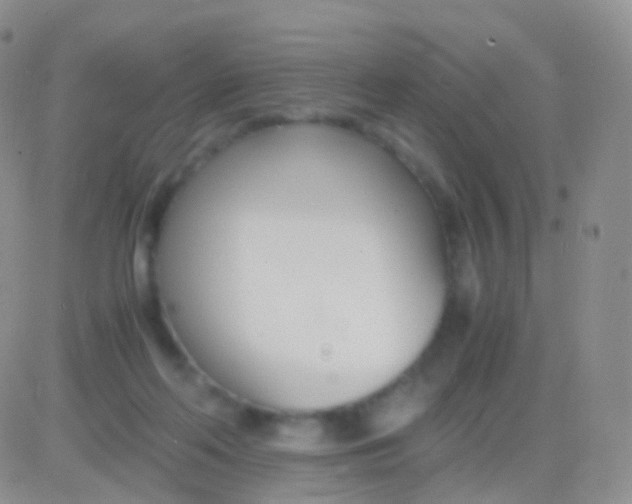 X0000083060214200702232029