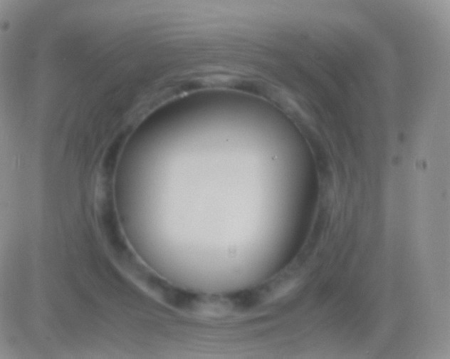 X0000083060215200702232029