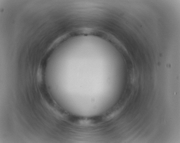 X0000083060216200702232029