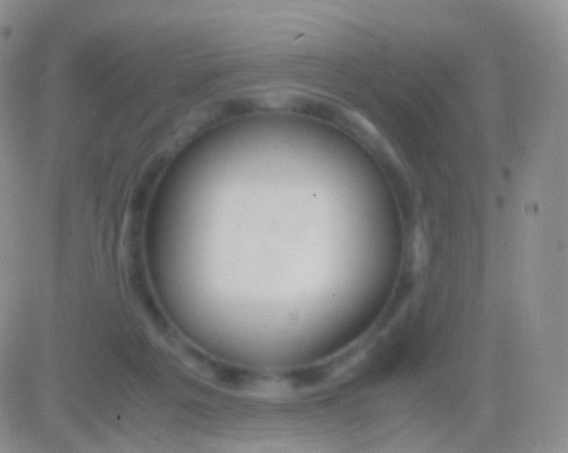 X0000083060217200702232029