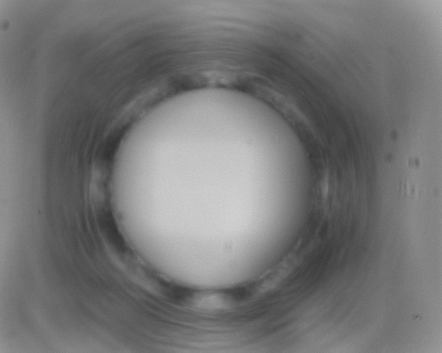 X0000083060218200702232029