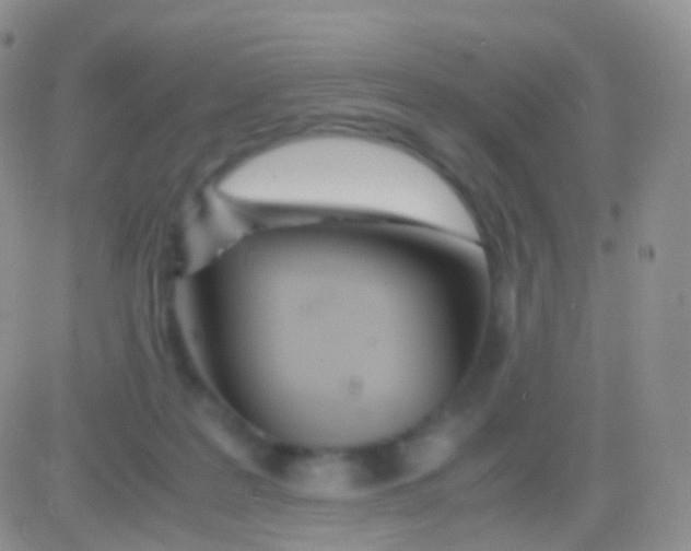 X0000083060219200702232029