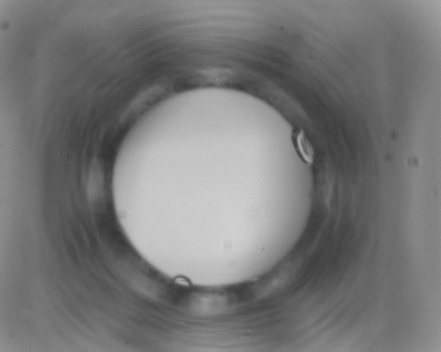 X0000083060220200702232029