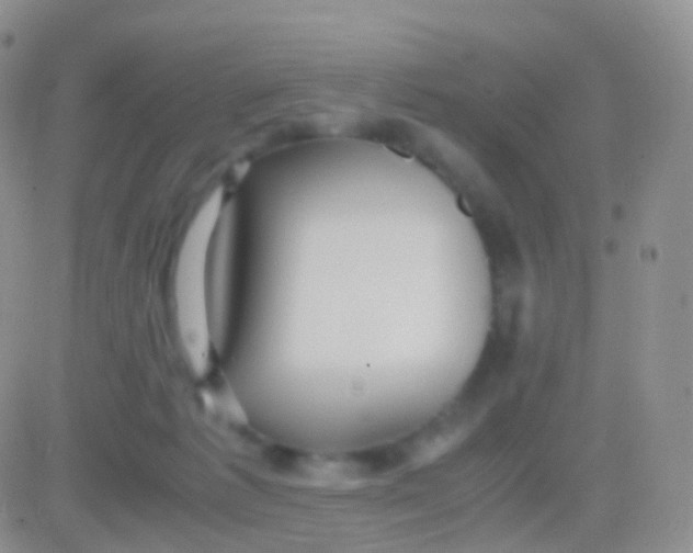 X0000083060221200702232029