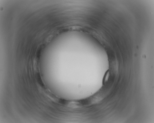 X0000083060222200702232029