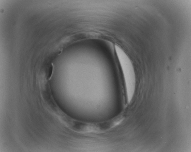 X0000083060223200702232029