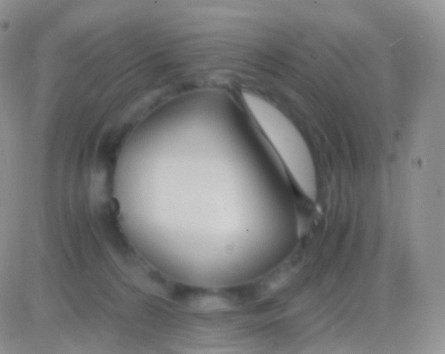 X0000083060224200702232029