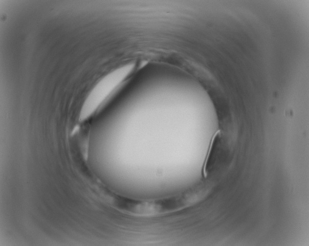 X0000083060225200702232029