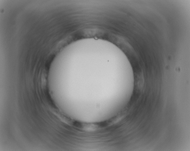 X0000083060226200702232029