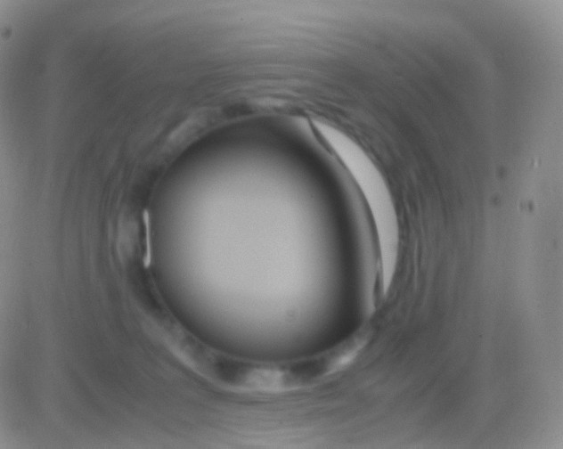 X0000083060227200702232029