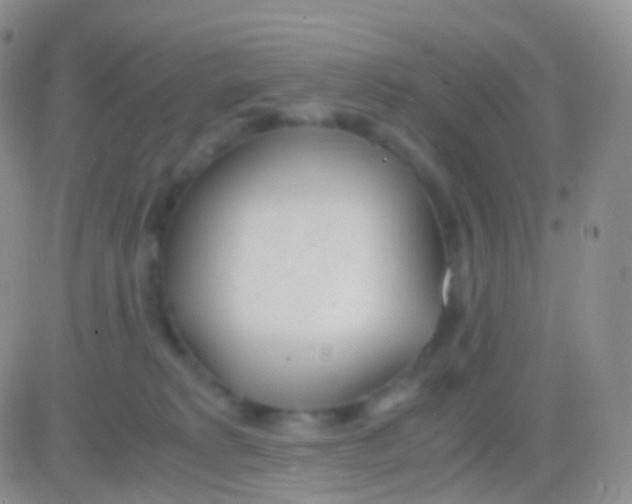 X0000083060229200702232029