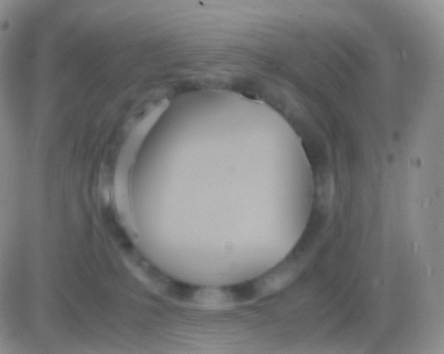 X0000083060231200702232029