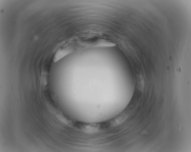 X0000083060232200702232029