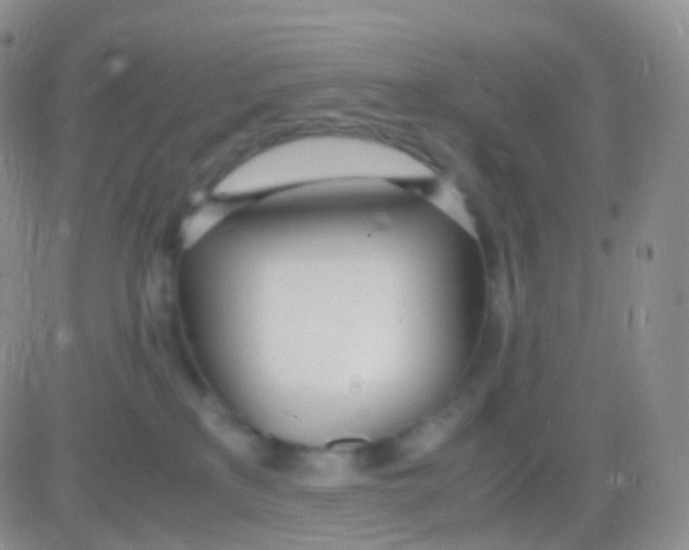 X0000083060233200702232029