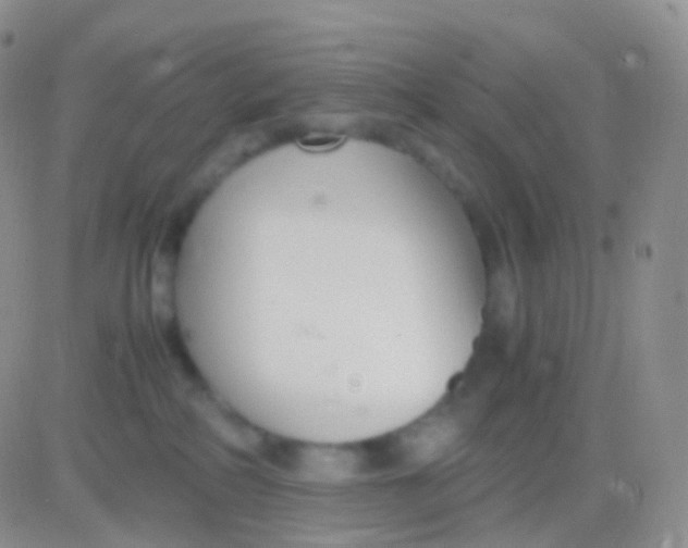 X0000083060234200702232029