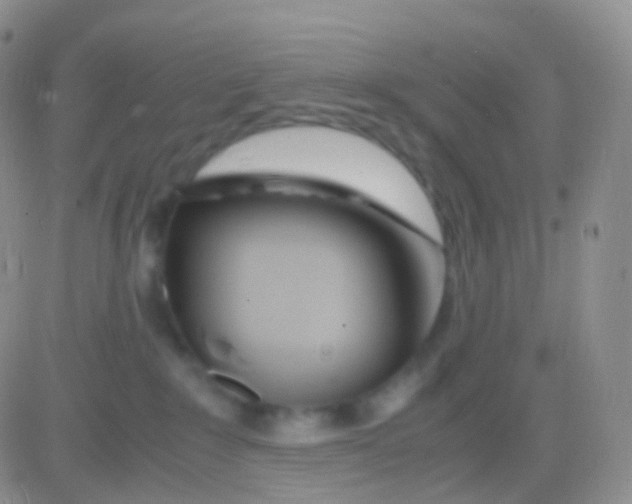 X0000083060235200702232029