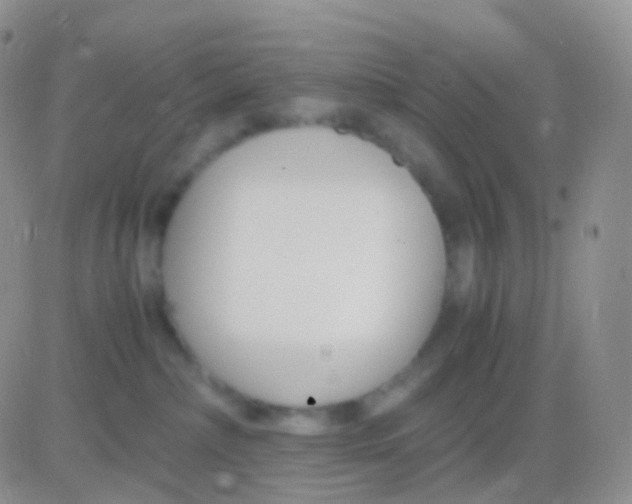 X0000083060236200702232029