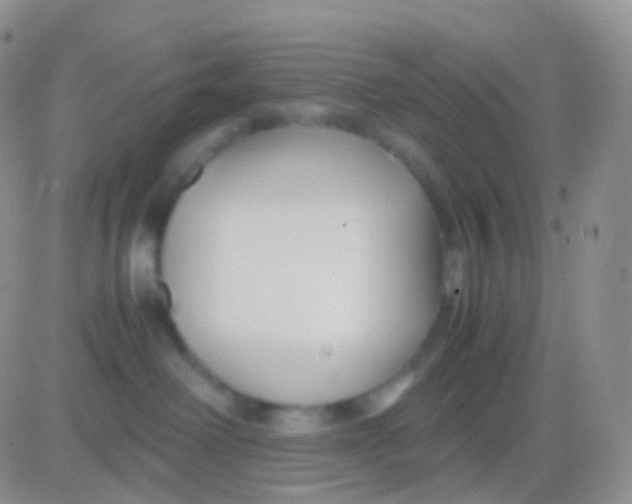 X0000083060238200702232029