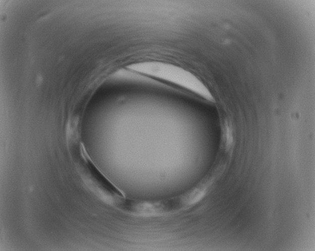 X0000083060239200702232029