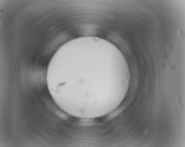 X0000083060240200702232029