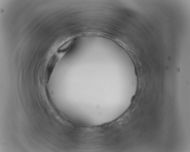 X0000083060241200702232028